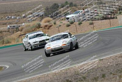 media/May-03-2025-Lucky Dog Racing (Sat) [[206de64b9d]]/Turn 4 B (1150am-130pm)/